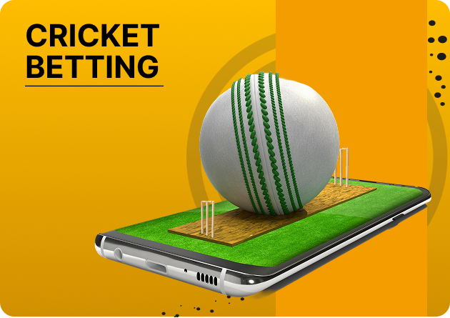 PB77 Cricket Betting - Banner showing 'CRICKET BETTING' with a cricket ball on a small pitch on a smartphone, signaling mobile cricket betting.