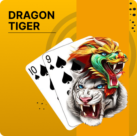 PB77 Premium Bet Casino Cashback - Promotional image for a Dragon Tiger casino game featuring dragon and tiger heads over playing cards on a gold background.